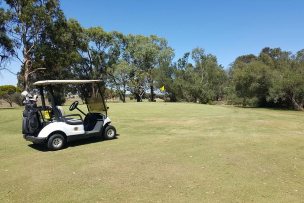 Meningie SA Local Activities Lake Albert Golf Club
